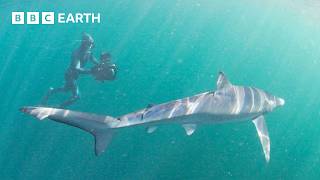 Searching for Creatures of the Deep | North Atlantic: The Dark Ocean | The Travel Edit