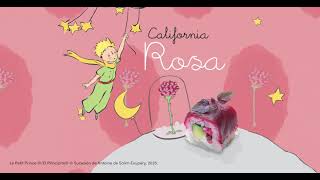 Miniature de la vidéo