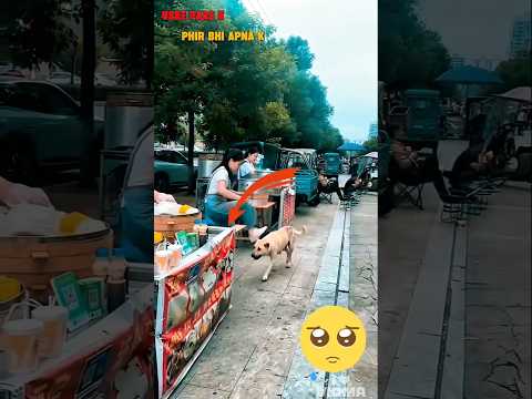 He Didn’t Just Feed a Dog… He Showed Humanity ❤️‍🩹🐶#humanity#respect#helpingX#trending#viralvideo