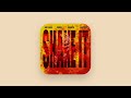 Kay Flock Cardi B Dougie B Shake It Clean Feat Bory300