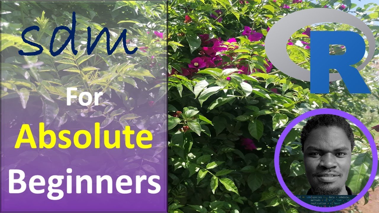 SDM for Absolute Beginners