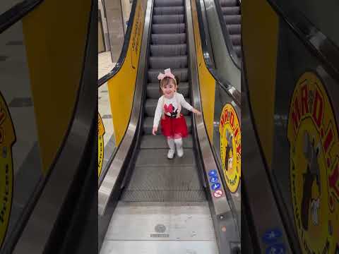 Tello can #music #song #remix #automobile #love