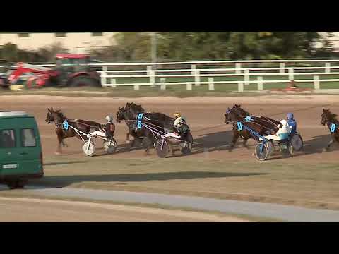 2023.10.14. 8. Futam - KÖZTÁRSASÁGI DÍJ (NÜL-IX:) Autóstart!