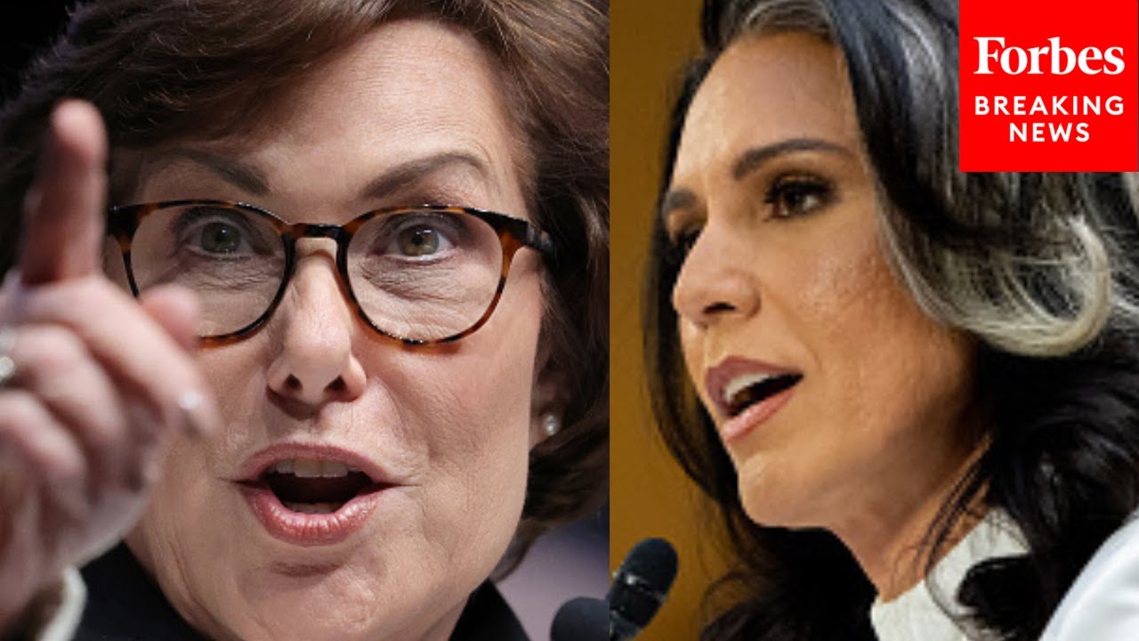 Rosen Warns Of Tulsi Gabbard's 'Unorthodox Media Consumption', Which Includes Russian State Media