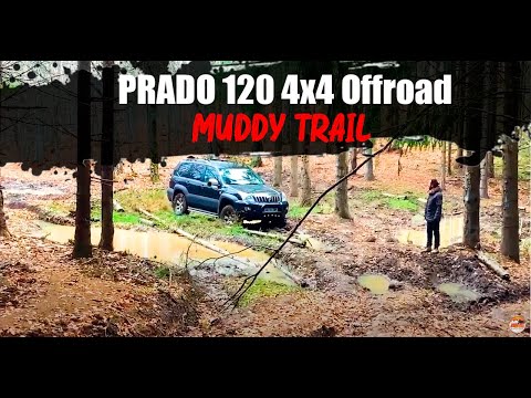 How capable is our Toyota Land Cruiser Prado 120? | Budget offroad - Overland Build
