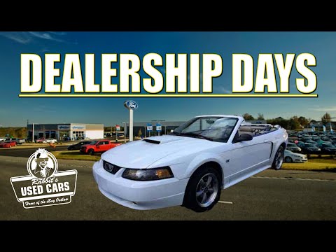 Dealership Days - Rabbit's Used Cars