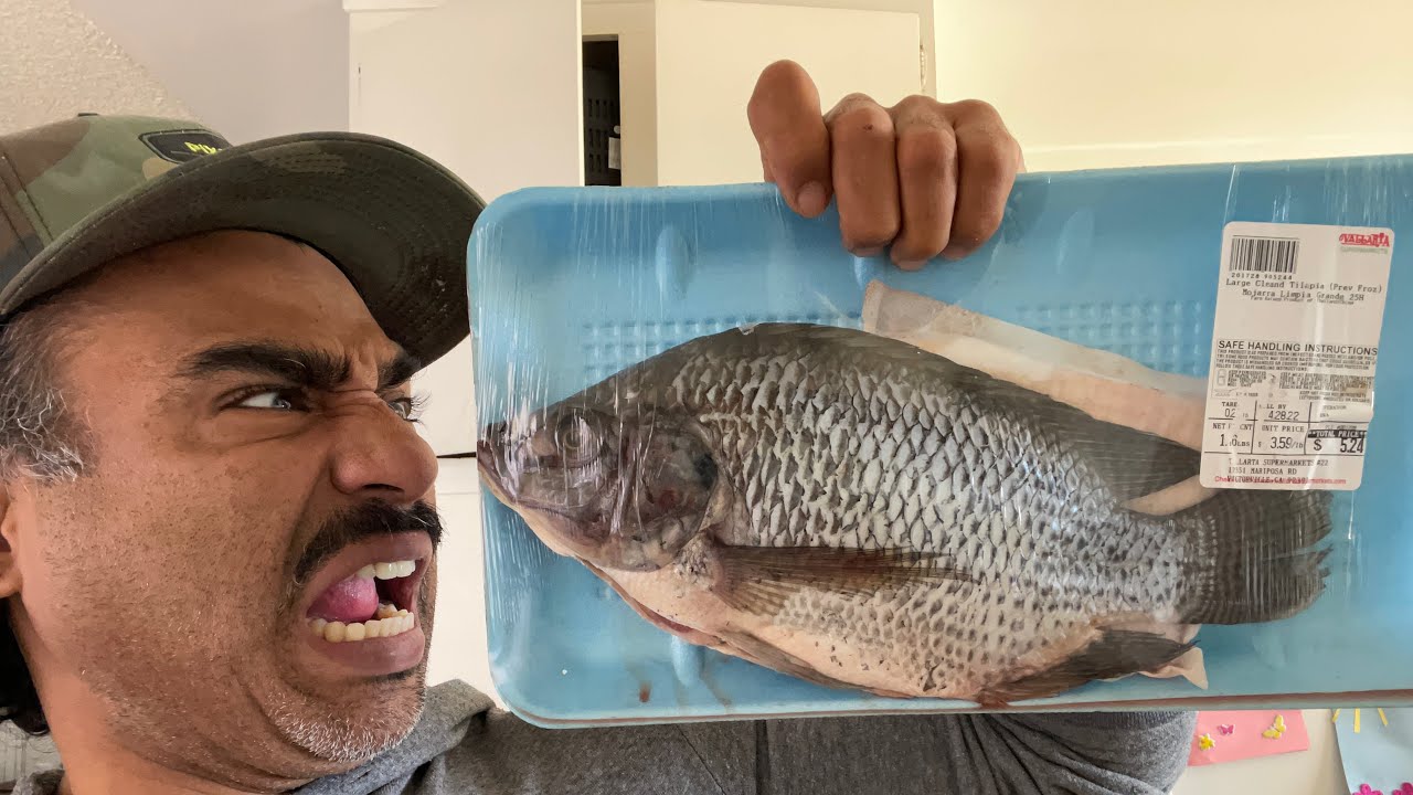 What is Mojarra fish in English? Tipseri