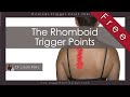 The Rhomboid Trigger Points Free Full Video
