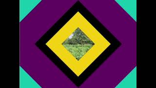 তুলা ছাড়া আমরা একদিনও বাঁচতে পারব না।