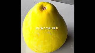 夏に美味しい食べ物・懐かしいマクワウリ