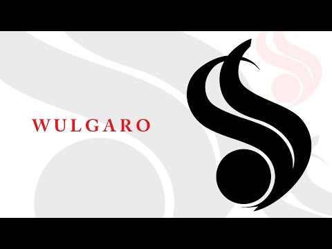 Syndykat ft. Popek - Wulgaro
