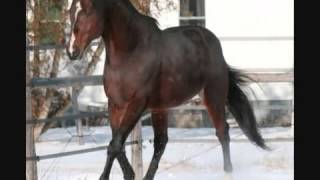 grupo laberinto- la soraya