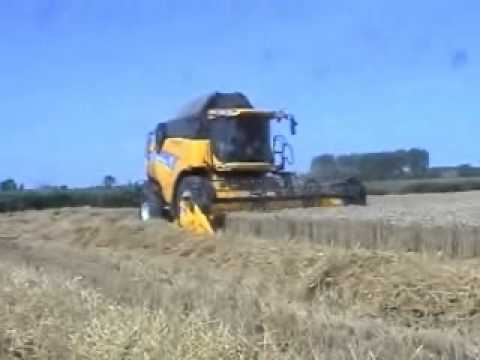 Staelens I.: Maaidorsen.