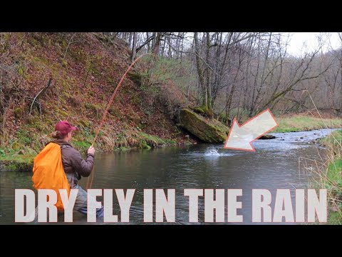 FLY FISHING SOUTH BEAR CREEK IN THE RAIN | IOWA DRIFTLESS REGION | DRY FLIES, STREAMERS, & NYMPHS |
