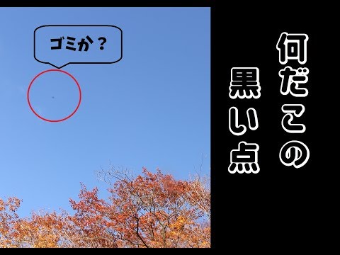 iPhone のセンサー: 黒い点はどれが実際に何をしているのでしょうか?