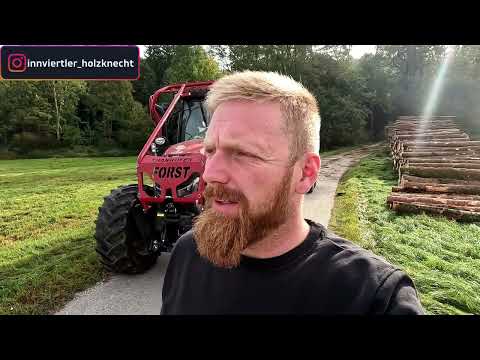 Vorher nachher Durchforstung