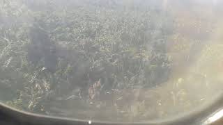 preview picture of video 'Wings Air Landing to Oesman Sadik Airport Labuha bacan'