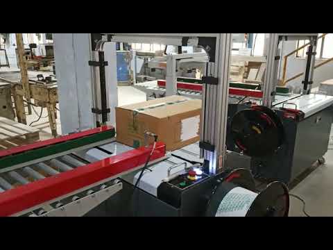 Automatic Carton Tapping & Strapping Machine