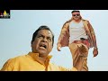 Brahmanandam Comedy Scenes Back To Back Pawan Kalyan Gabbar Singh Latest Telugu Scenes