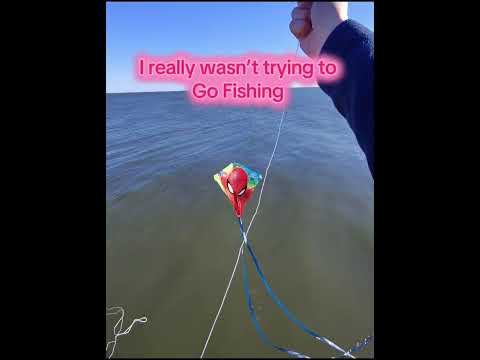 I was flying my kite yesterday when whoosh – it dove right into the water. #fishing #kite #wind