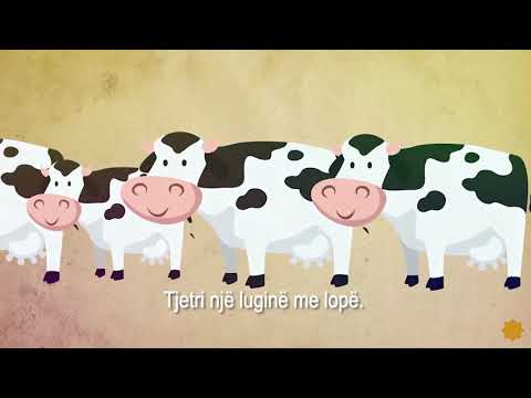 Historia e lebrozit, qerosit dhe të verbërit