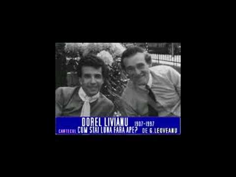 DOREL LIVIANU - Cum stai luna fara ape - Cantec de Grigore Leoveanu, studio recording New York City 1986, piano David Livianu