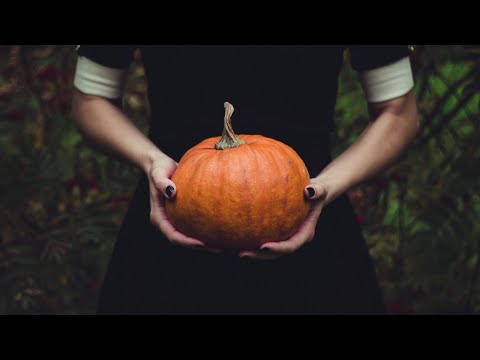 you're a hedge witch slowly falling in love with a necromancer the week before halloween // playlist
