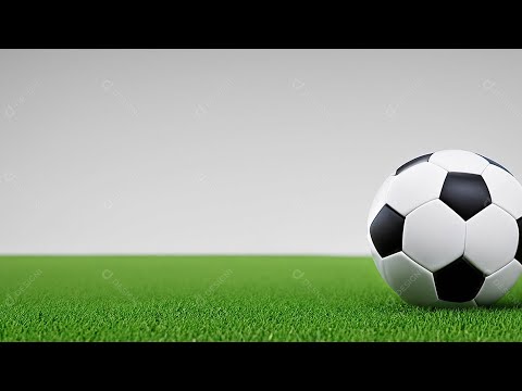 25ª Rodada 28/09/2025 FLAMENGO LIDER