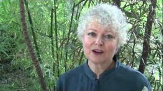 How to design the garden of your dreams.