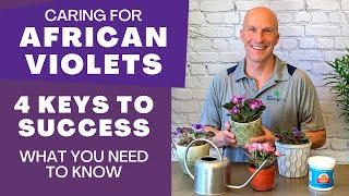 Download lagu 4 Key Tips for Growing Healthy African Violets | Easy Care Guide mp3 Download lagu 4 Key Tips for Growing Healthy African Violets | Easy Care Guide mp3