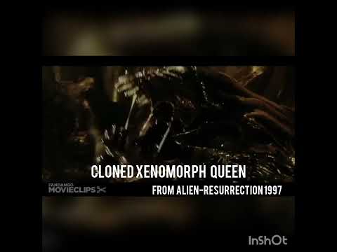 Queen Xenomorph Vs Xenomorphs