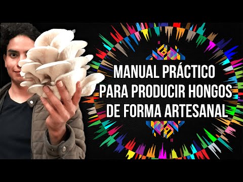 , title : 'MANUAL PRÁCTICO PARA PRODUCIR HONGOS | FORMA ARTESANAL 🍄✅'