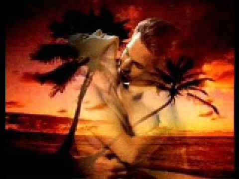 Ayad hussen_ Taza roy