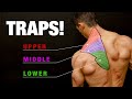 All About Traps (COMPLETE GROWTH GUIDE!)
