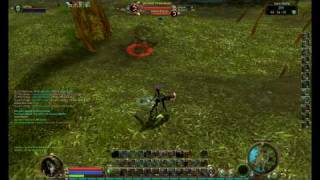 Dasher's Aion - Sin solo DP