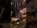 Shanidev Ji Ko Tel Kaise Chadaye Harharmahadev Shivji
