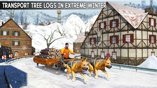 Snow Dog Sledding Transport 3D videosu