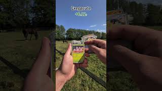 151 rip with Rapidash this time! #pokemon #pokemoncards #pokemonchannel #pokemontcg #tcgcommunity