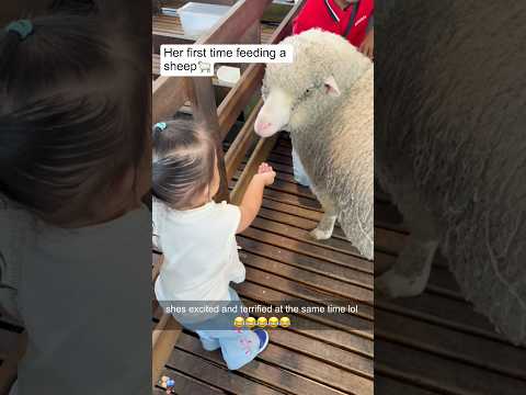 When kids enter the animal world 😂👀#KidsAndAnimals#KidsMeetAnimals#KidsBeingKids#FunnyKids