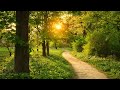 Piano Music Calm Relaxing To Relieve Stress Relax Sleep Meditate Study With Nature