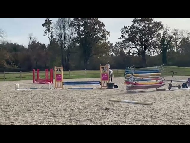 &Agrave; vendre Poney D 