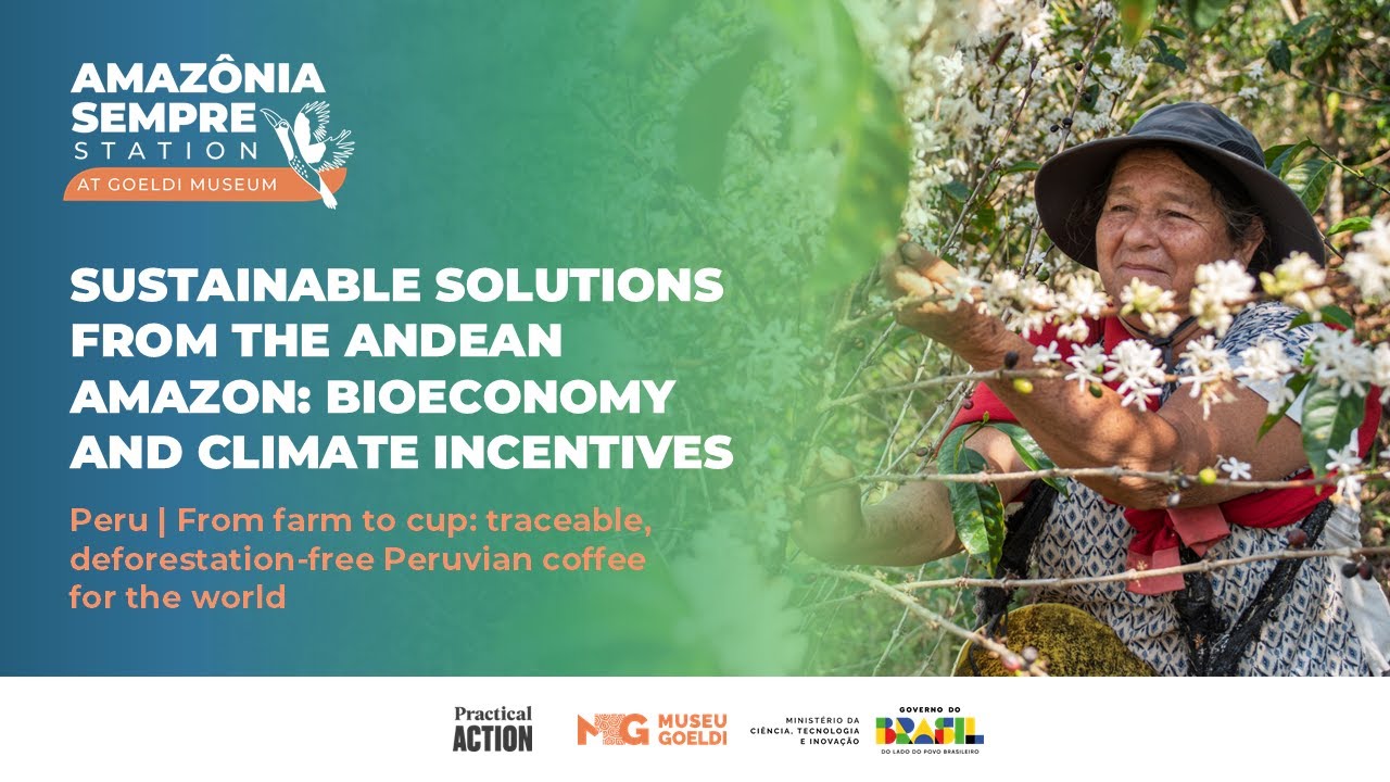 Peru | From farm to cup: traceable, deforestation-free Peruvian coffee for the world