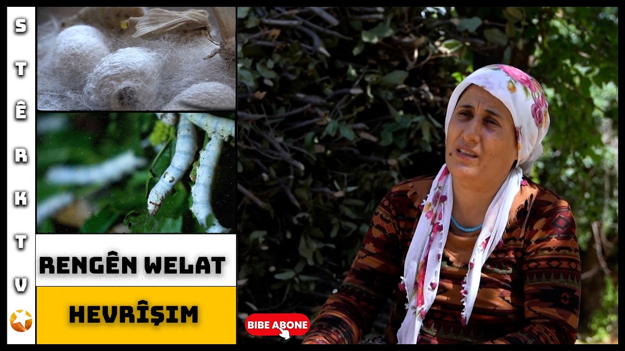 Rengên Welat - Hevrîşim