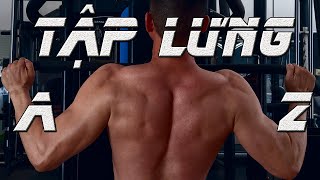 1 buổi TẬP LƯNG cần phải c&oacute; những b&agrave;i tập n&agrave;o | Hướng dẫn TẬP LƯNG từ A đến Z | Nguyễn Ho&agrave;ng Fitness