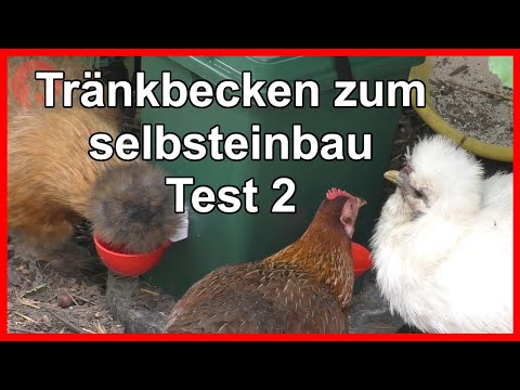 , title : '118 Tränkbecken Test Teil 2 - Jensman and the Huhns'