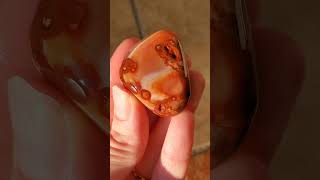 Download lagu Girlwitherocks? #rocks #rocktumbling #agate #geology #lapidary #thefinders #hobby mp3