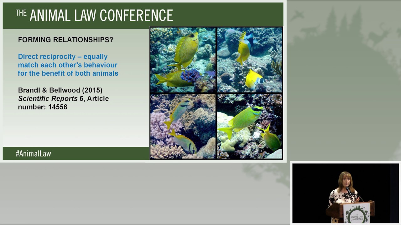 Animal Law Conference 2016 - 05 - Aquatic Animal Law 10-08-16