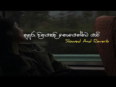 Nuduru Dinayakadi | නුදුරු දිනයකදි | Poorna Sachintha | Slowed And Reverb @Diluwa_Vibes