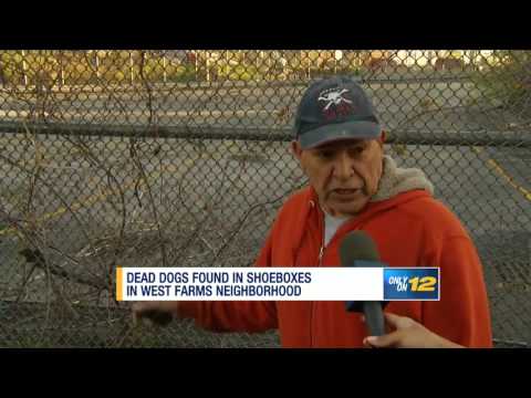 Bronx dead dogs found Reena Roy