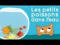 Comptine - Les petits poissons dans l'eau 